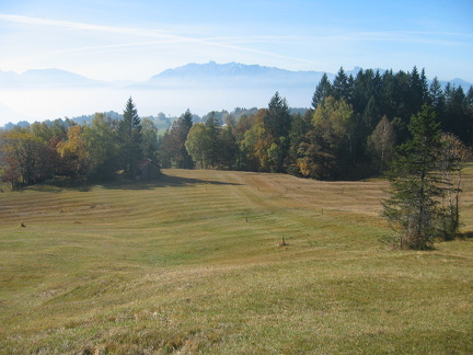 IMG 4529